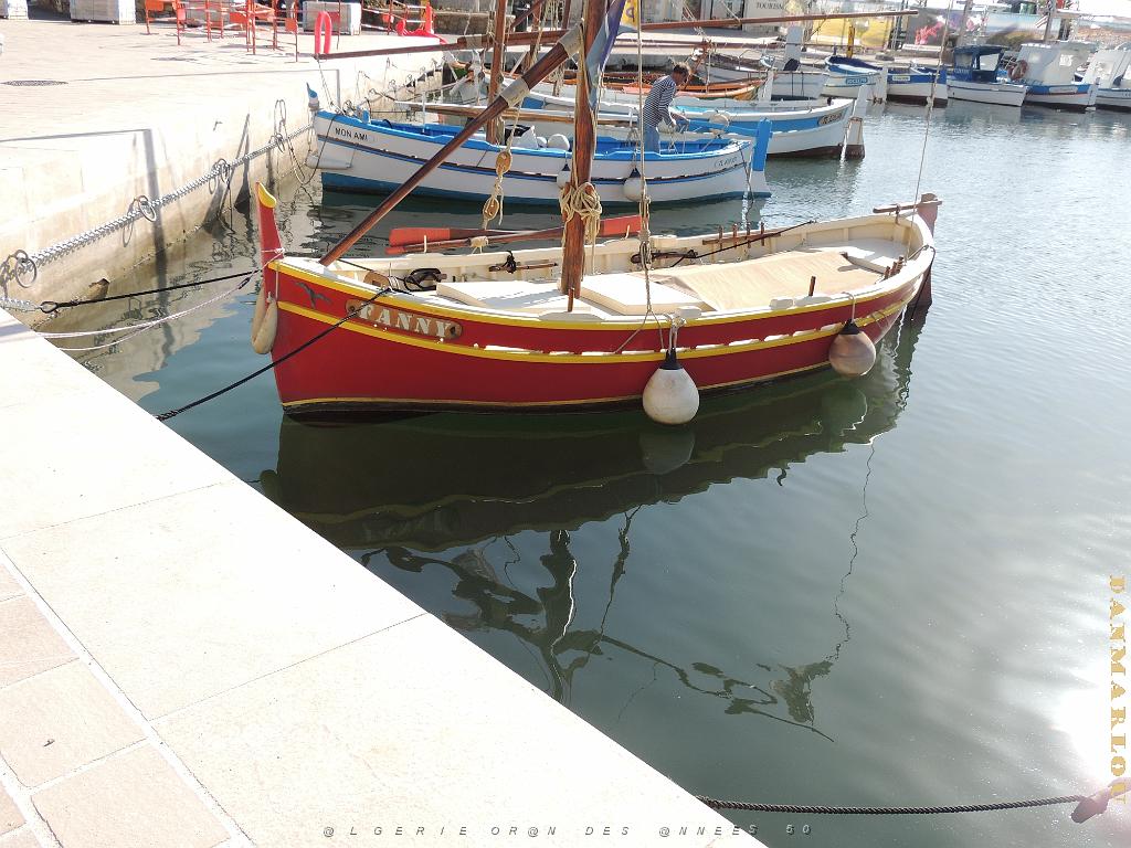 2024 11 02 EN FLANANT SUR SANARY (84).jpg